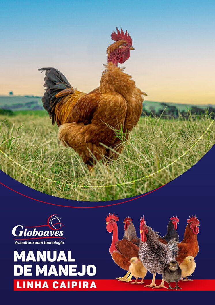 Globoaves-Manual-de-Manejo-pdf