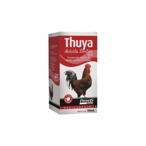 thuya