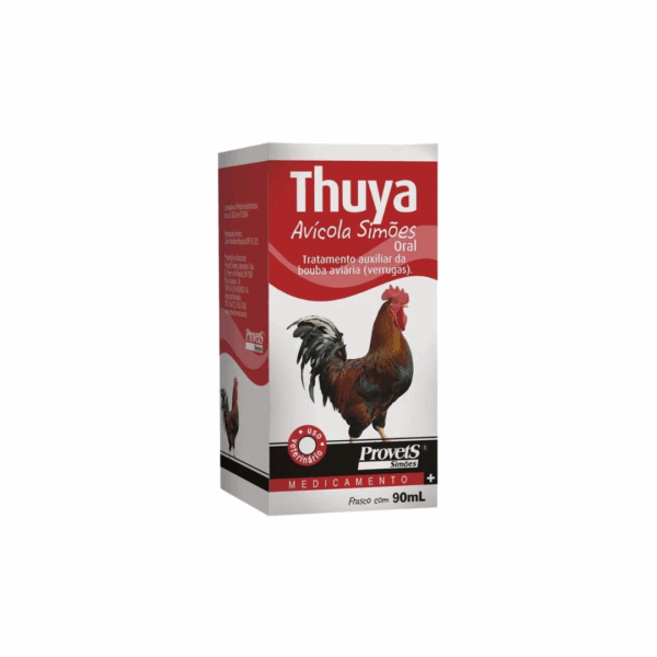 thuya